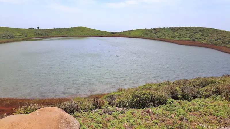 Birds diving into the crater lake at El Junco, San Cristobal, Galapagos.