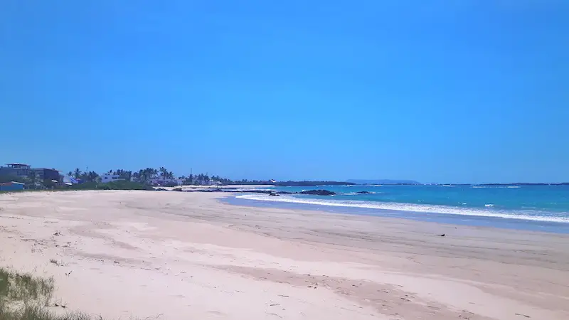 Wide white sand beach and turquoise water - Playa Puerto Villamil in Isla Isabela Galapagos.