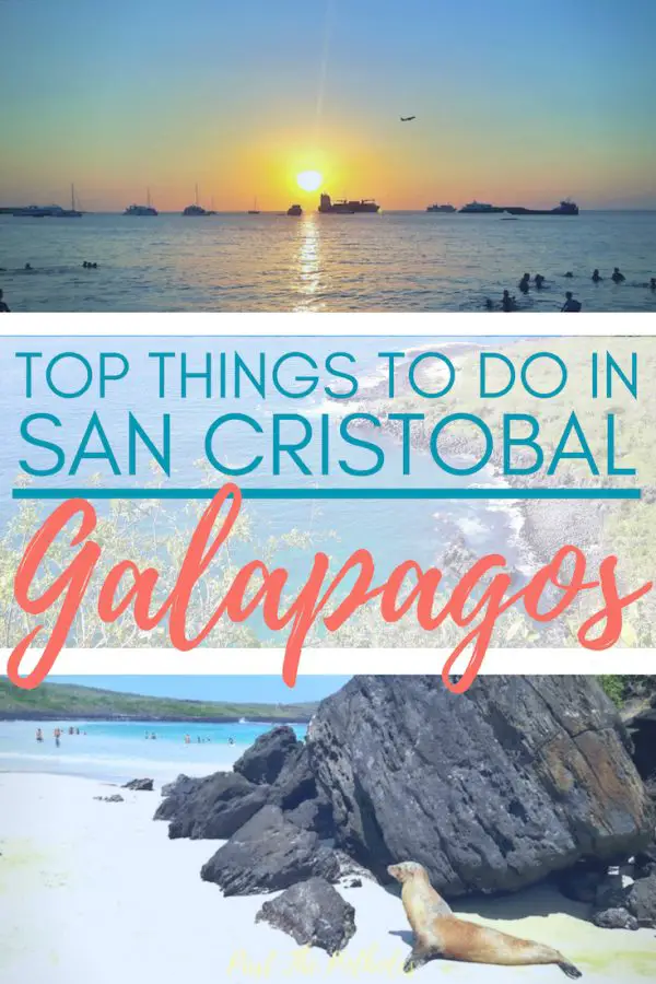 Sea lion on a beach and sunset with the text: Top things to do in San Cristobal Galapagos