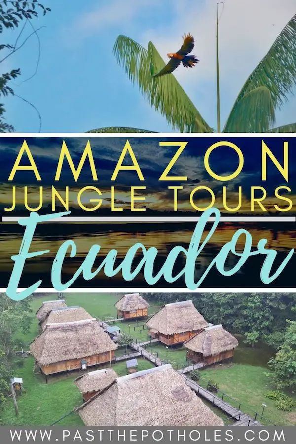 Parrot flying over Ecuador eco lodge with text: Amazon Jungle Tours, Ecuador.