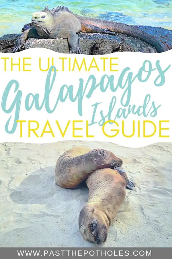 Marine iguana and sea lion with the text: The Ultimate Galapagos Islands Travel Guide.