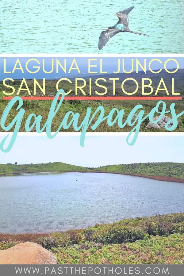 Frigate bird over Laguna el Junco, Galapagos freshwater lake.
