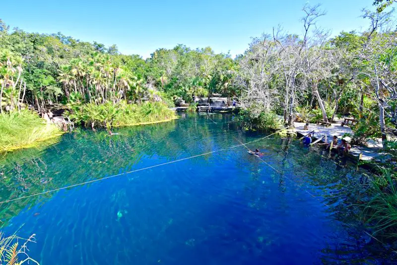 Deep blue water surrounded by green jungle at Cenote Cristal, Mexico.