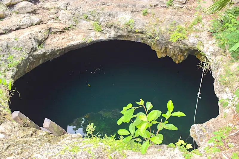 Looking into Calavera Cenote, a water-filled sinkhole in Mexico.