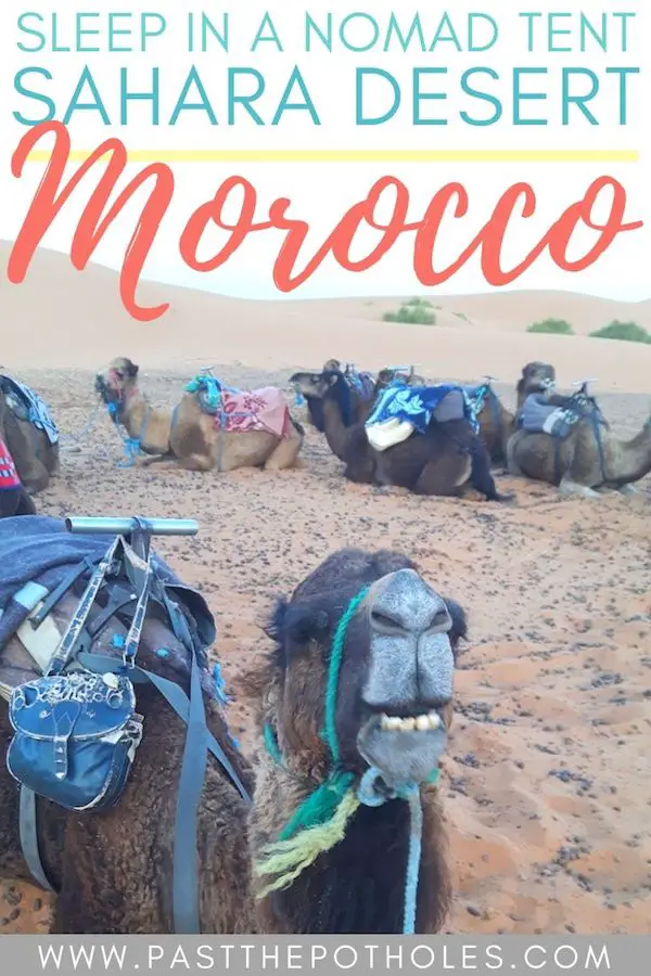 Line of camels laying in desert resting with text: Sleep in a nomad tent, Sahara Desert Morocco.