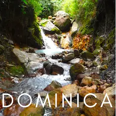 Dominica destination